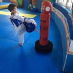 UF_Fighter_4